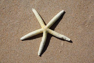 《燕云十六声》新版“悠悠凉州彻”预告 5月16日上线